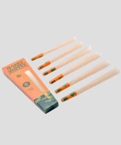 Happyland Supply - Pre-Rolled Cones