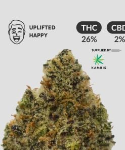 Mandarin Cookies - Sativa Dominant Hybrid - Uplifted & Relaxed